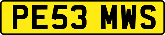 PE53MWS