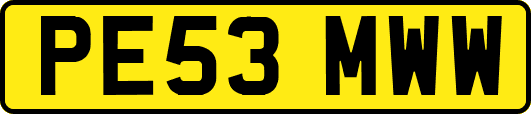 PE53MWW