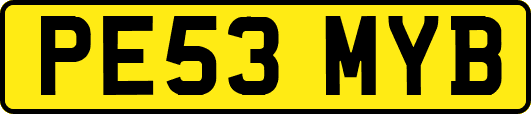 PE53MYB