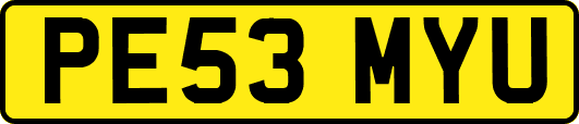PE53MYU