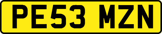 PE53MZN