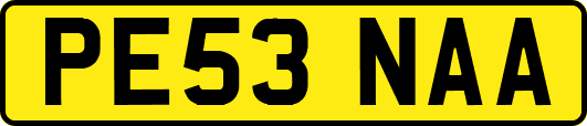 PE53NAA