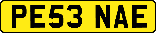 PE53NAE