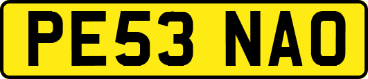 PE53NAO