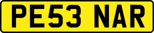 PE53NAR