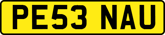 PE53NAU