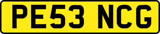 PE53NCG
