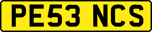 PE53NCS