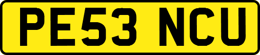 PE53NCU
