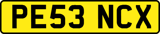 PE53NCX