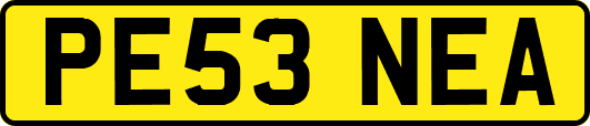 PE53NEA