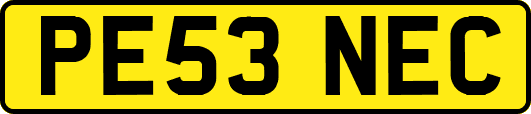 PE53NEC