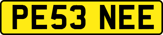 PE53NEE