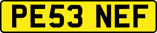 PE53NEF
