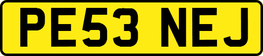 PE53NEJ