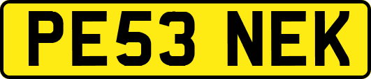 PE53NEK