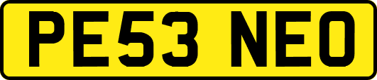PE53NEO