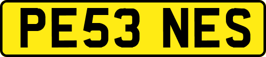PE53NES