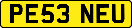 PE53NEU