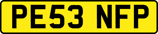 PE53NFP