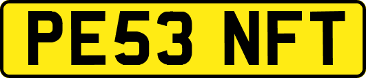 PE53NFT