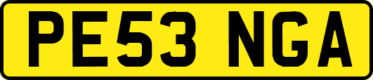 PE53NGA