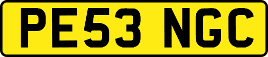 PE53NGC