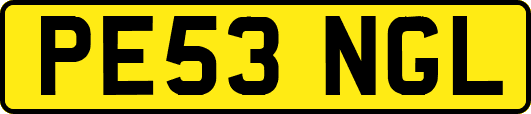 PE53NGL