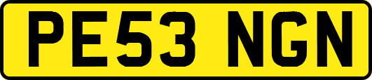 PE53NGN