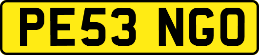 PE53NGO