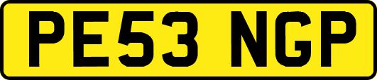 PE53NGP
