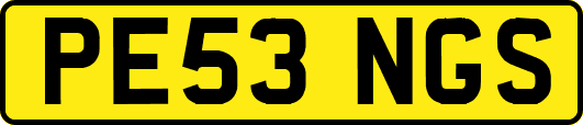 PE53NGS