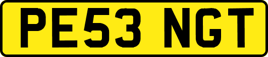 PE53NGT