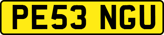 PE53NGU
