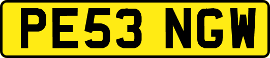 PE53NGW