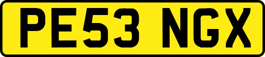 PE53NGX