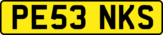 PE53NKS