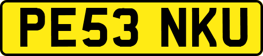 PE53NKU
