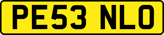 PE53NLO