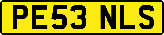 PE53NLS
