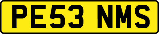 PE53NMS