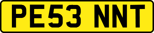 PE53NNT