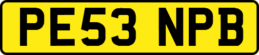PE53NPB