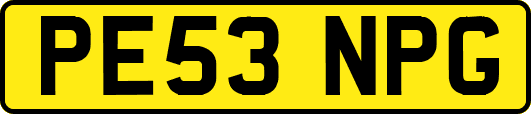 PE53NPG