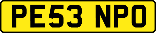 PE53NPO