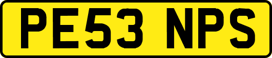 PE53NPS