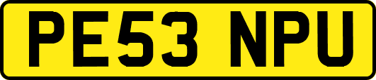 PE53NPU