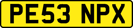 PE53NPX