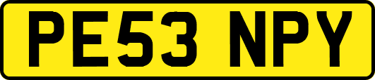PE53NPY