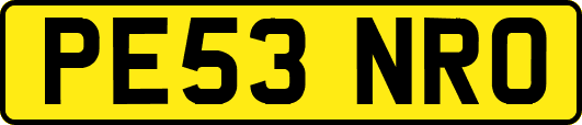 PE53NRO